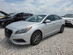 Salvage cars for sale from Copart Temple, TX: 2016 Hyundai Sonata Hybrid