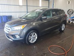 Hail Damaged Cars for sale at auction: 2019 Ford Escape SE