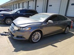 Salvage cars for sale at Louisville, KY auction: 2014 Ford Fusion SE Hybrid