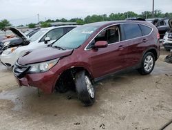 Salvage cars for sale at Louisville, KY auction: 2014 Honda CR-V EX