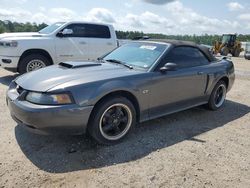 Salvage cars for sale at Harleyville, SC auction: 2001 Ford Mustang GT