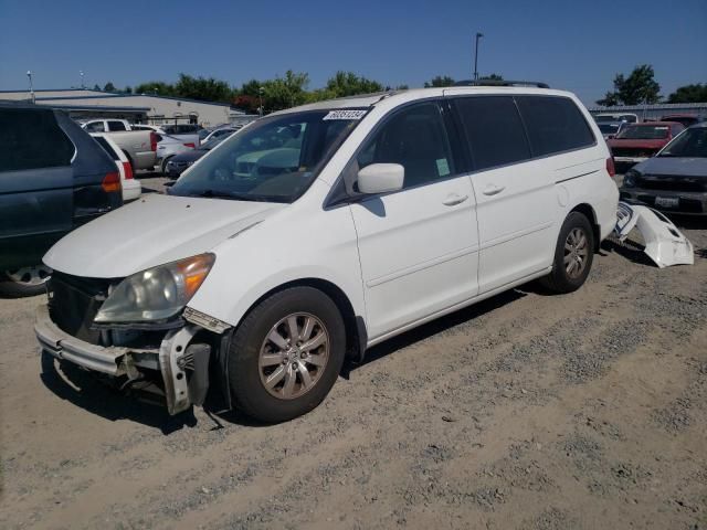 2010 Honda Odyssey EXL