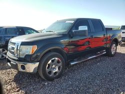 Salvage cars for sale at Phoenix, AZ auction: 2009 Ford F150 Supercrew