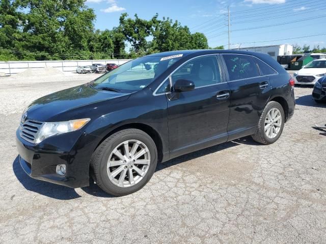 2010 Toyota Venza