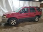 2006 Ford Escape XLT