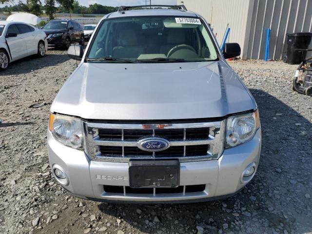 2010 Ford Escape XLT