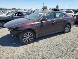 KIA salvage cars for sale: 2014 KIA Optima EX