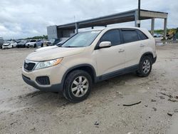 Salvage cars for sale at West Palm Beach, FL auction: 2011 KIA Sorento Base