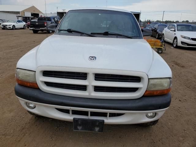 1999 Dodge Dakota