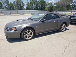 Salvage cars for sale at China Grove, NC auction: 2004 Ford Mustang GT