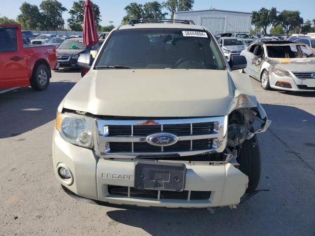 2009 Ford Escape XLT