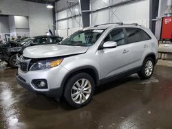 Salvage cars for sale at Ham Lake, MN auction: 2011 KIA Sorento EX