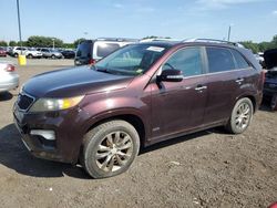 KIA Sorento sx salvage cars for sale: 2012 KIA Sorento SX