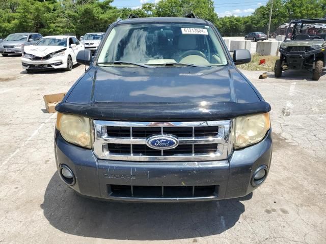 2008 Ford Escape XLT