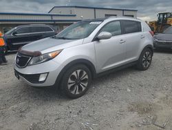 Salvage cars for sale at Earlington, KY auction: 2013 KIA Sportage SX