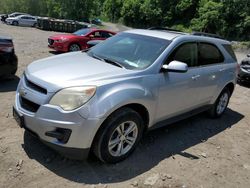 Chevrolet Equinox lt salvage cars for sale: 2010 Chevrolet Equinox LT