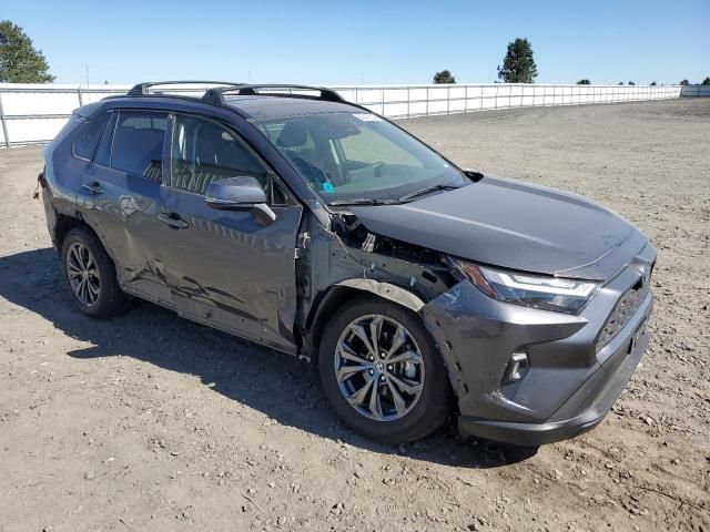 2022 Toyota Rav4 XLE Premium