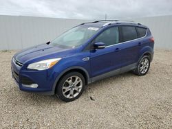 Ford Escape SEL Vehiculos salvage en venta: 2013 Ford Escape SEL