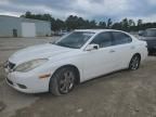 2005 Lexus ES 330