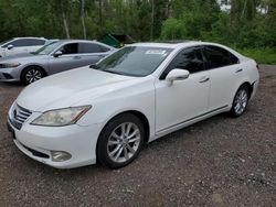 Lexus salvage cars for sale: 2010 Lexus ES 350