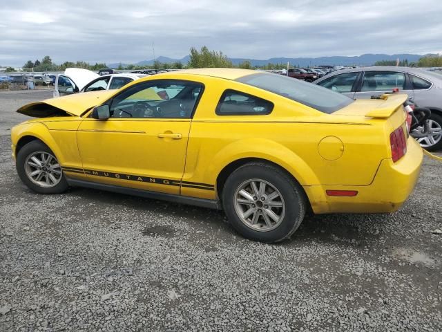 2005 Ford Mustang