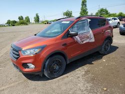 Salvage cars for sale at Montreal Est, QC auction: 2019 Ford Escape SEL