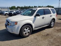 Salvage cars for sale from Copart Pennsburg, PA: 2009 Ford Escape XLT