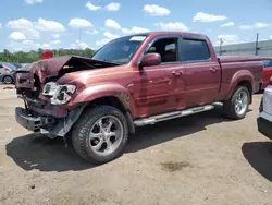 Salvage trucks for sale at Harleyville, SC auction: 2004 Toyota Tundra Double Cab Limited