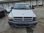 2003 Dodge Dakota SXT