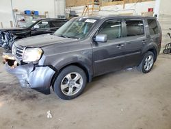 Salvage cars for sale at Ham Lake, MN auction: 2014 Honda Pilot EXL