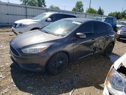 Salvage cars for sale at Lansing, MI auction: 2017 Ford Focus SE