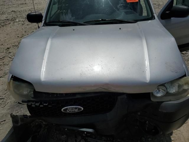 2005 Ford Escape XLT