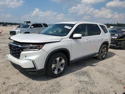 Salvage cars for sale at Houston, TX auction: 2024 Honda Pilot EXL