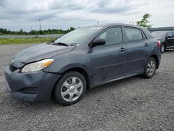 Salvage cars for sale at Ottawa, ON auction: 2009 Toyota Corolla Matrix