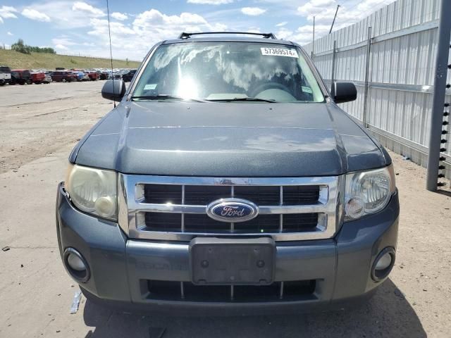 2008 Ford Escape XLT