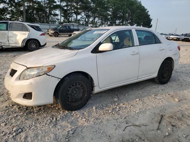 2010 Toyota Corolla Base