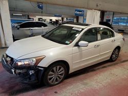 Honda Accord exl salvage cars for sale: 2011 Honda Accord EXL