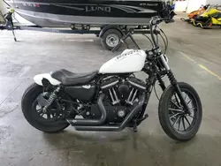 Harley-Davidson salvage cars for sale: 2009 Harley-Davidson XL883 N