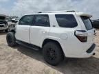 2024 Toyota 4runner SR5/SR5 Premium