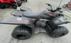 2007 Yamaha YFM450 FAS