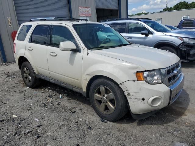 2010 Ford Escape Limited