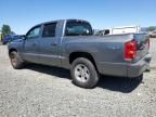 2010 Dodge Dakota SXT