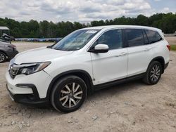 Salvage cars for sale at Charles City, VA auction: 2020 Honda Pilot EXL