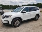 2020 Honda Pilot EXL