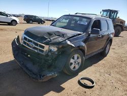 Salvage cars for sale at Brighton, CO auction: 2012 Ford Escape XLT