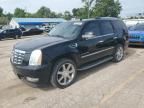 2008 Cadillac Escalade Luxury