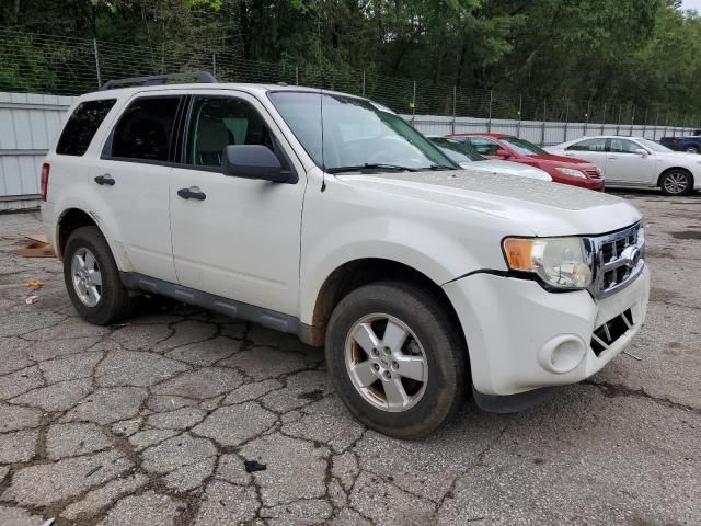 2011 Ford Escape XLT