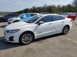 Salvage cars for sale at Brookhaven, NY auction: 2019 Ford Fusion SE