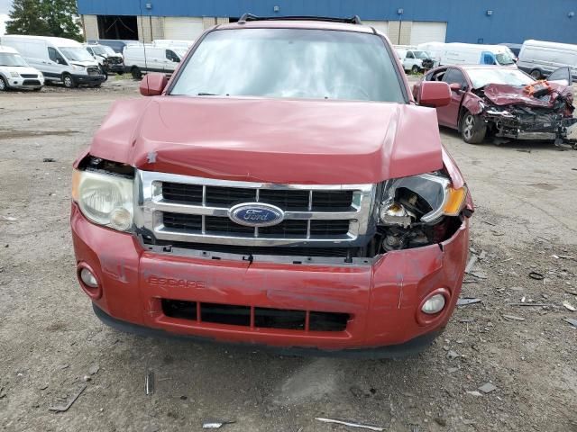 2010 Ford Escape Limited