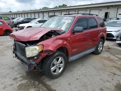 Salvage cars for sale at Louisville, KY auction: 2008 Ford Escape XLT